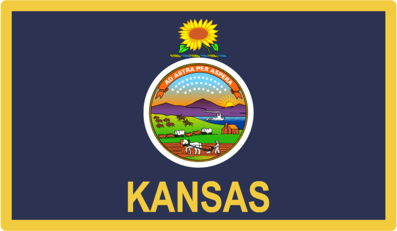 Kansas ANG State Flag Patch