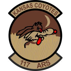 Image for 117 ARS Kansas Coyotes Desert Patch
