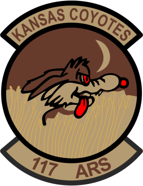 Image for 117 ARS Kansas Coyotes Desert Patch