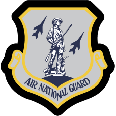 Image for ANG Minuteman Gray B/G PU Patch