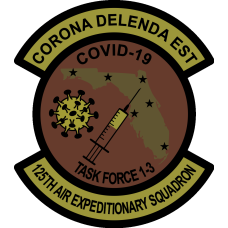 Image for 125th Air Expeditionary Squadron Task Force 1-3 Patch