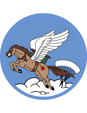 Image for 8 AS Friday Full-Color Patch