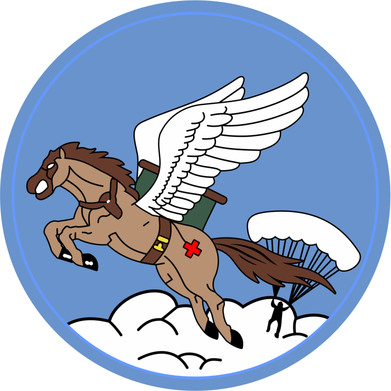 8 AS Friday Full-Color Patch