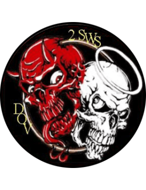 Image for 2 SWS  DOV Patch