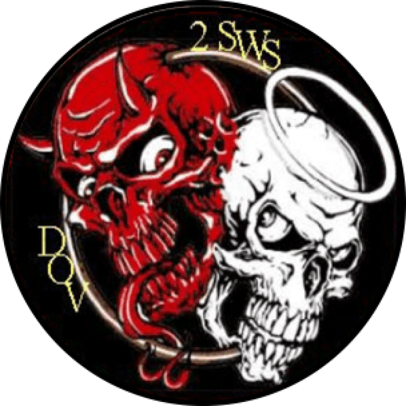 2 SWS  DOV Patch