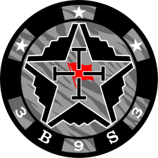 Image for 393 BS Red Flag B-2 Patch