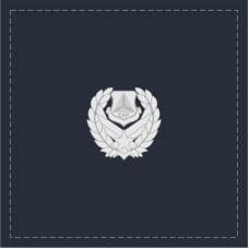 Image for Civil Air Patrol Commander