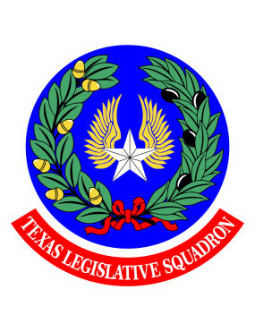 Image for Civil Air Patch Texas Legislative Squadron Patch