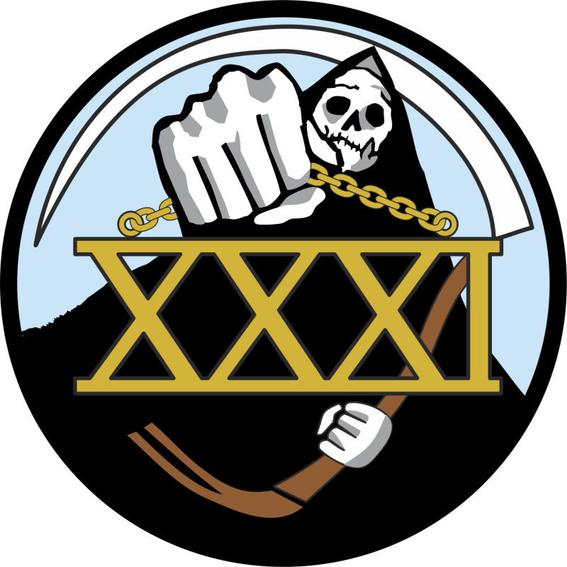 USAFA 1973 Reunion Patch