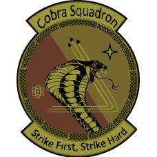 Image for Class 20-01 Cobra Squadron OCP Patch