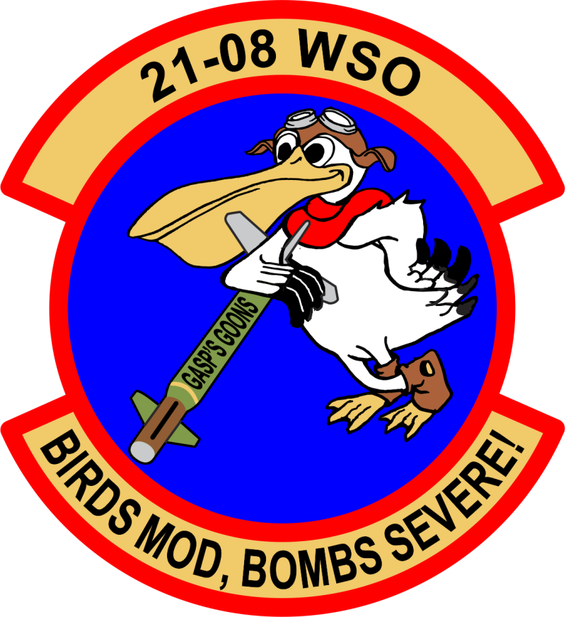 451 FTS Class 21-08 WSO Patch