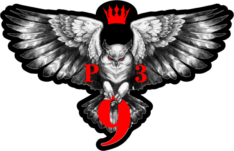 Imperial Airport Reach 9 Company Wings Patch