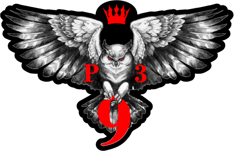 Imperial Airport Reach 9 Company Wings Patch