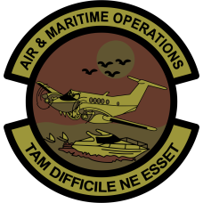 Image for US Embassy Bogota AM OPS OCP Patch