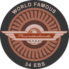 Image for 34 EBS Thunderbirds Patch