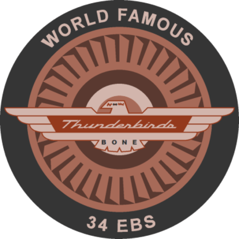 34 EBS Thunderbirds Patch