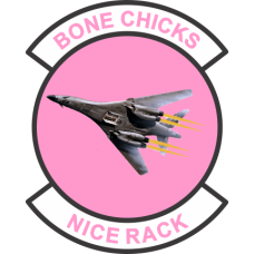 Image for 34 BS Bone Chicks Pink Patch
