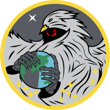 Image for 452 FLTS Gray Eagle with Spook Patch