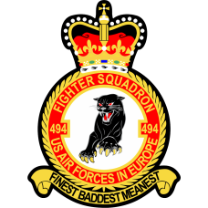 Image for 494 FS Finest Baddest Meanest Patch