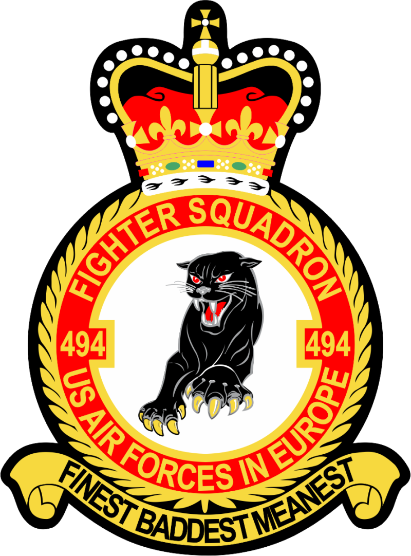 494 FS Finest Baddest Meanest Patch