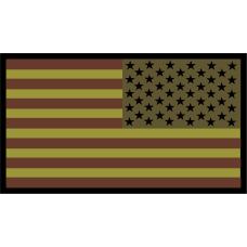 Image for Dahlgren JWAC American Flag Reverse OCP