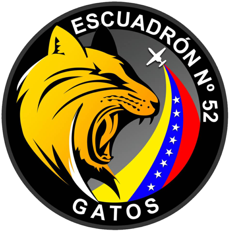 Venezuela AF - Escuadron No 52 Gatos Patch