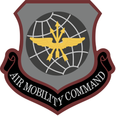 Image for 317 OSS AMC Gray Patch