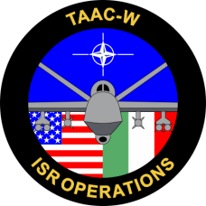 Image for TAAC-W Sticker