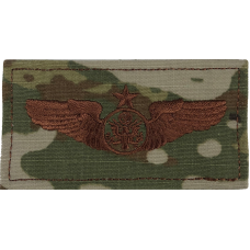 Image for Enlisted Aircrew Wings-Senior