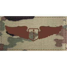 Image for Flight Nurse Wings -  Basic