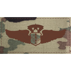 Image for Flight Nurse Wings - Master  Occupational Device