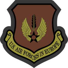Image for USAFE OCP Black PU Patch
