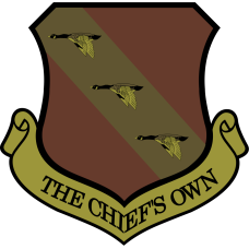 Image for 11 Wing OCP Patch