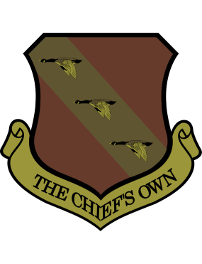 Image for 11 Wing OCP Patch