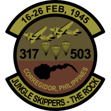 Image for 317 AW Heritage Patch OCP