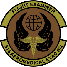 Image for 514 AES Flight Examiner OCP Patch