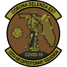 Image for 125 Air Expeditionary Sq OCP Patch