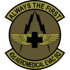 Image for 43 AES Green Patch