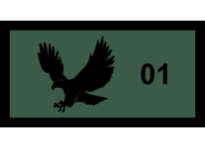 Image for 15 AS Eagle - Subdued Pocket Tab