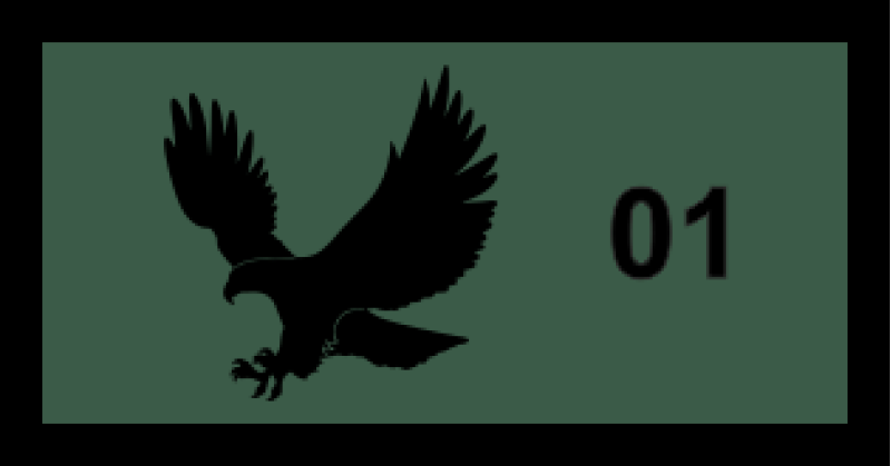 15 AS Eagle - Subdued Pocket Tab