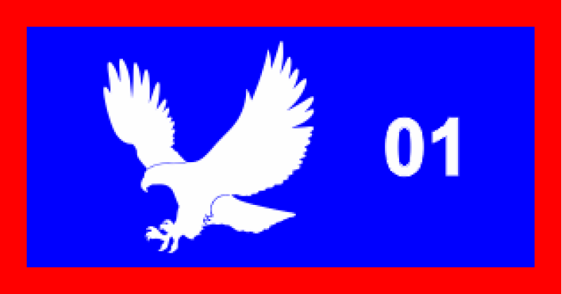 15 AS Eagle - Blue, Red Border Pocket Tab