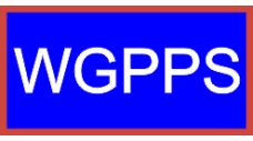 Image for 11 RS WGPPS Blue Pocket Tab