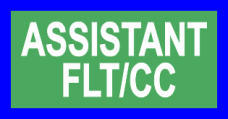 Image for 321 MS Assistant FLT/CC Pocket Tab