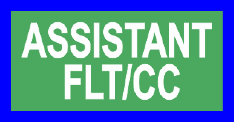 321 MS Assistant FLT/CC Pocket Tab 