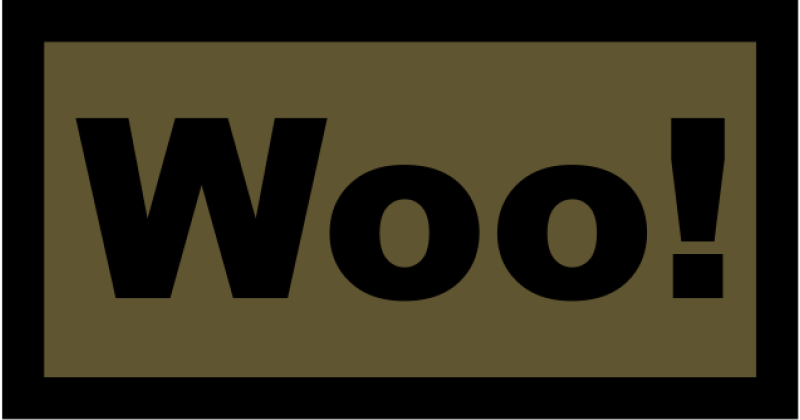 15 AS WOO! Pocket Tab