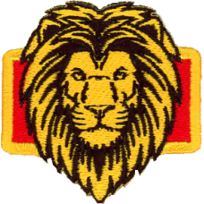Image for 16 AS Lion Head Pocket Tab