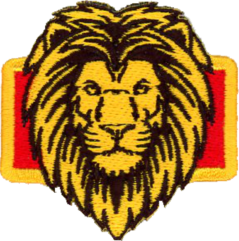 16 AS Lion Head Pocket Tab