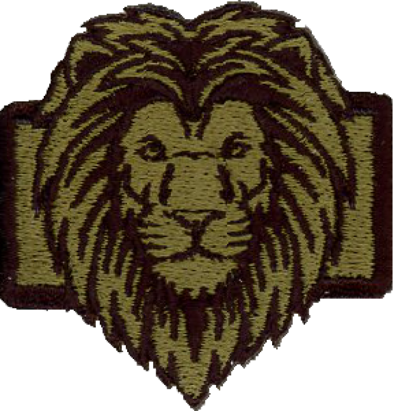 16 AS Subdued Pocket Tab