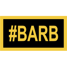 Image for 21 AS #BARB Pocket Tab