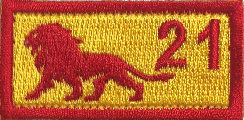 16 AS Lion Pocket Tab Numbered